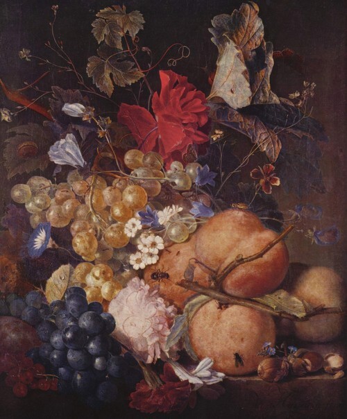 Fruits, Flowers and Insects