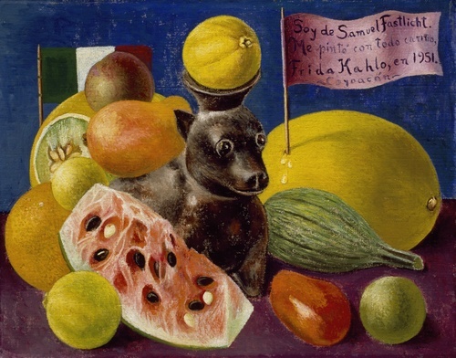 Still Life