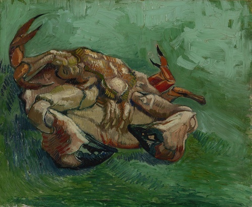 A crab on its back