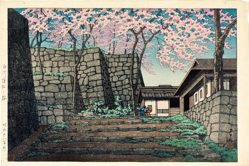 Cherry Blossoms at Shirakawa Castle Ruins 1946