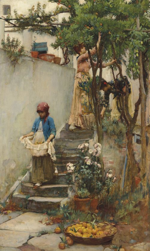 An Orange Garden