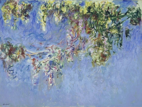Wisteria