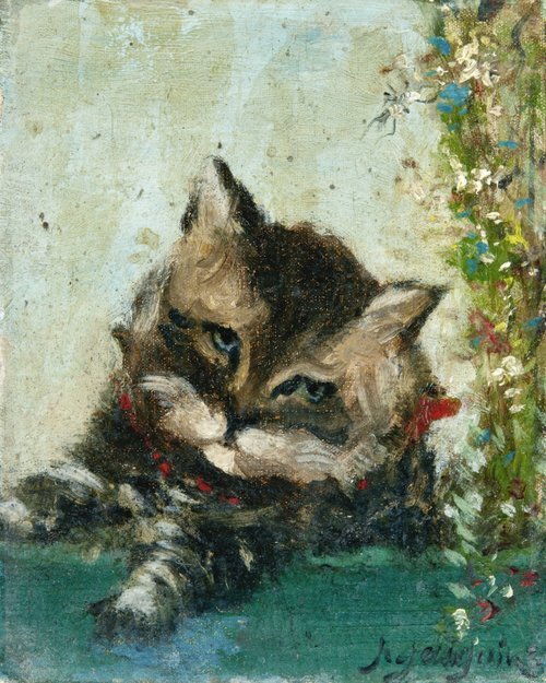 Head of a Cat