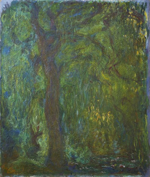 Weeping willow
