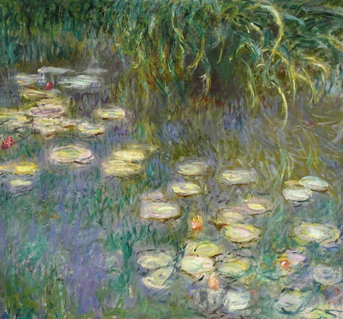 Water Lilies