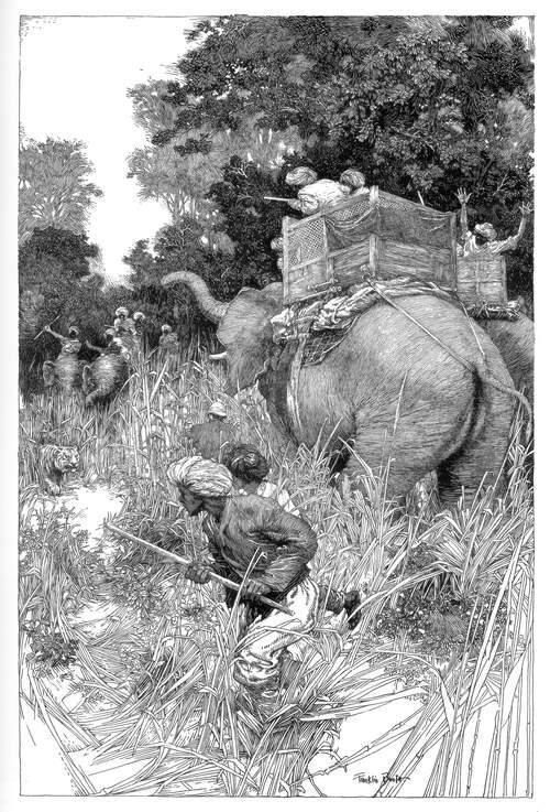 Tiger Hunt