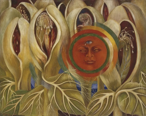 Awakening (Sun and Life)