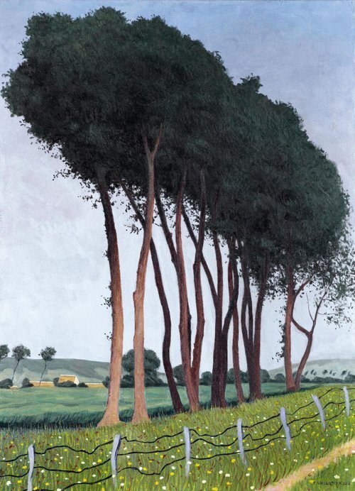 Family of Trees