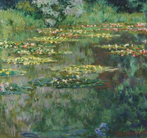 Water Lilies