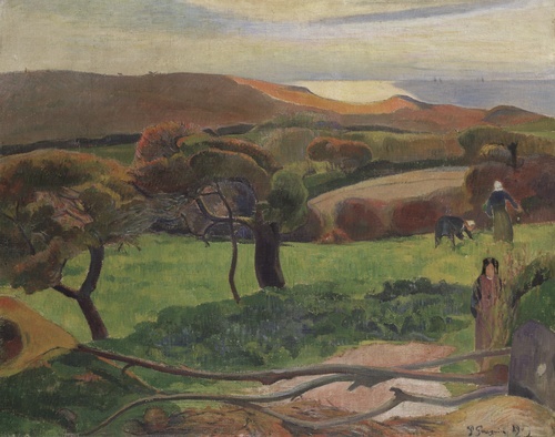 Landscape from Brittany