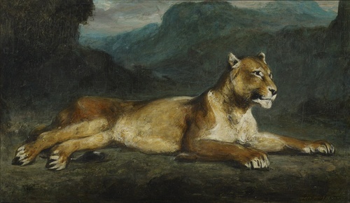 Lioness Reclining