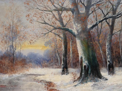 Winter Forest