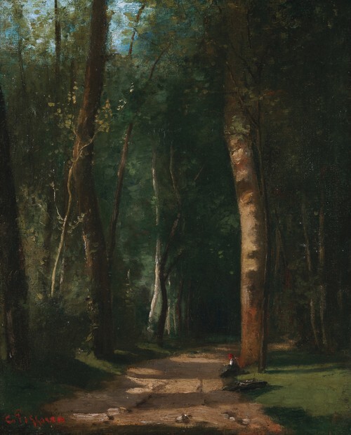 Sentiero in una foresta