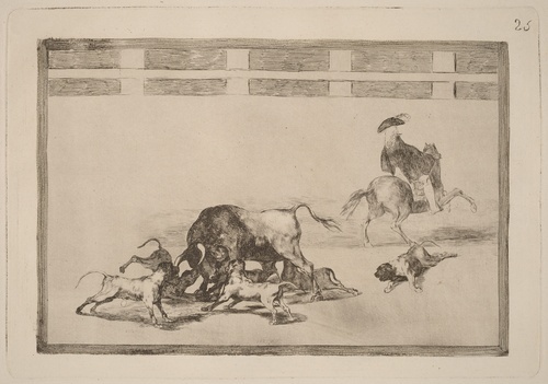 Echan perros al toro