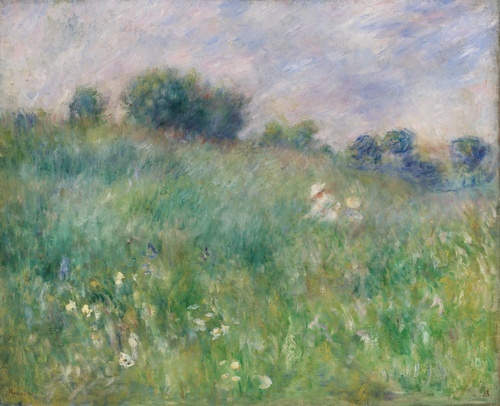 Meadow