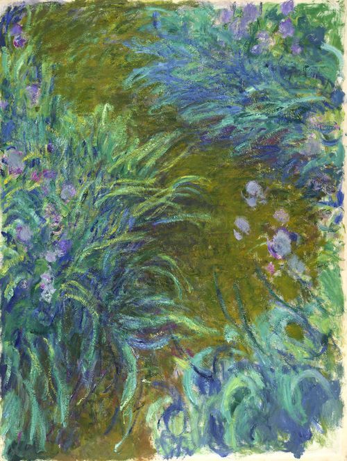 Path through the Irises