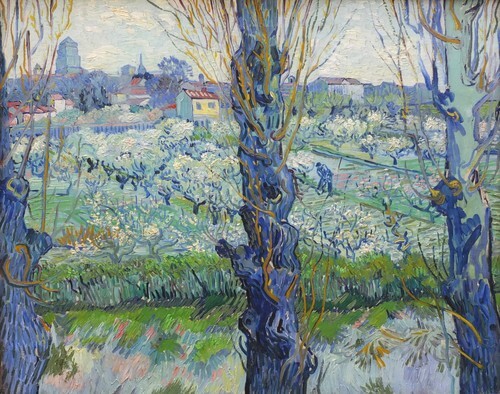 Vue d'Arles, vergers en fleurs