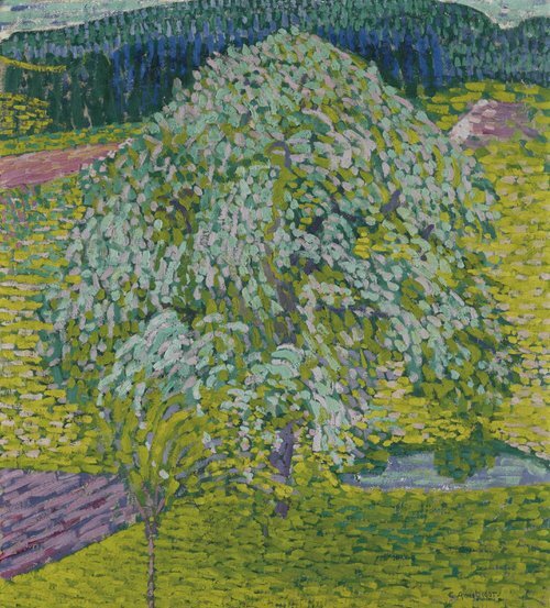 Blühender Obstbaum in Frühlingslandschaft