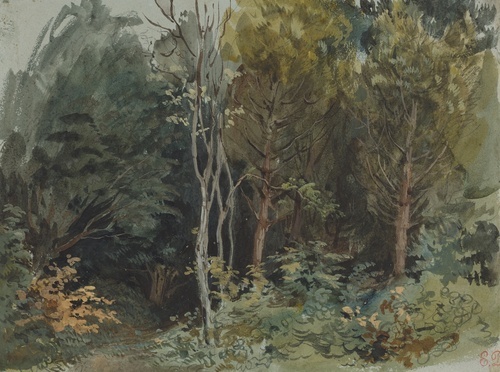 The Edge of a Wood at Nohant