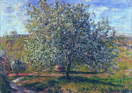 Tree in Blossom near Vetheuil
