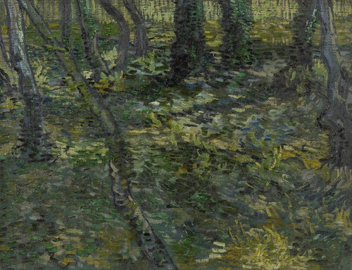 Undergrowth