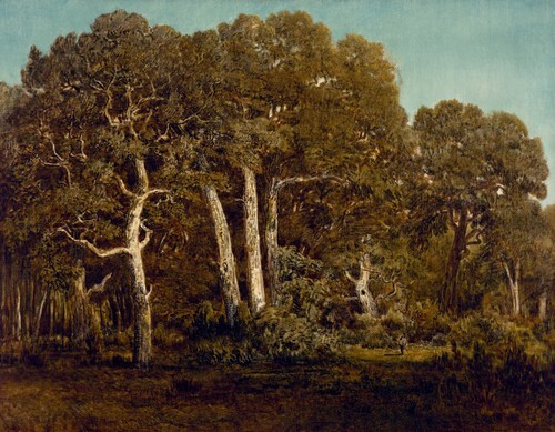 The Great Oaks of Old Bas-Bréau