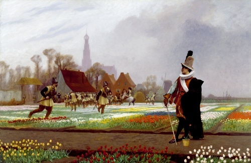 Szał tulipanów