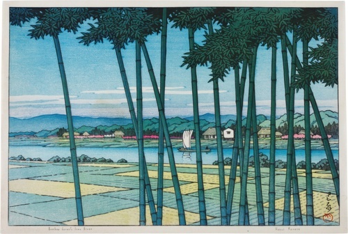 Bamboo Grove, Tamagawa River 1953