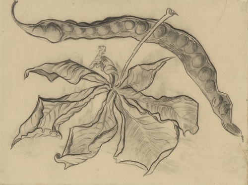 Chestnut Leaf with Pod