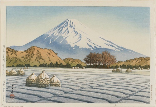 Pagi Bersalju di Izu-Nagaoka
