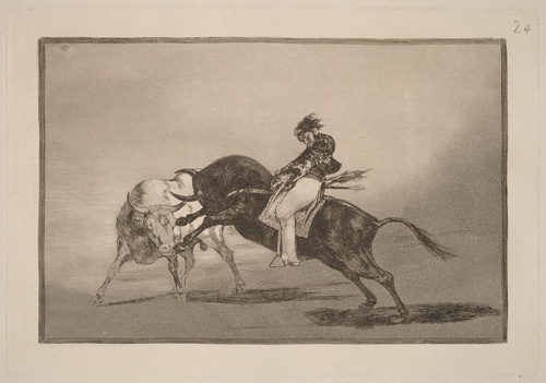 El mismo Ceballos mounted on another bull breaks javelins in the Plaza de Madrid
