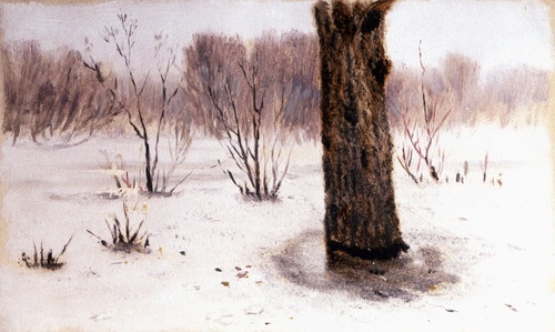 Winter. Thaw 1895