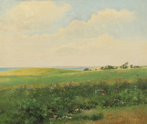 Paesaggio estivo con campi ondulati