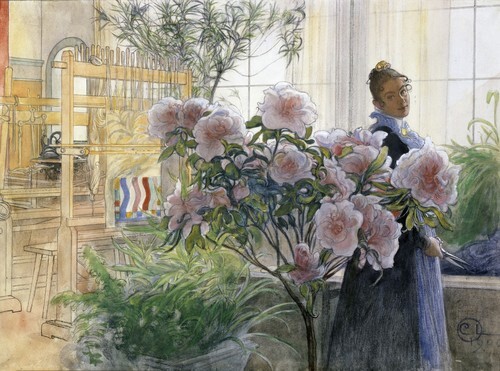 Azalea 1906