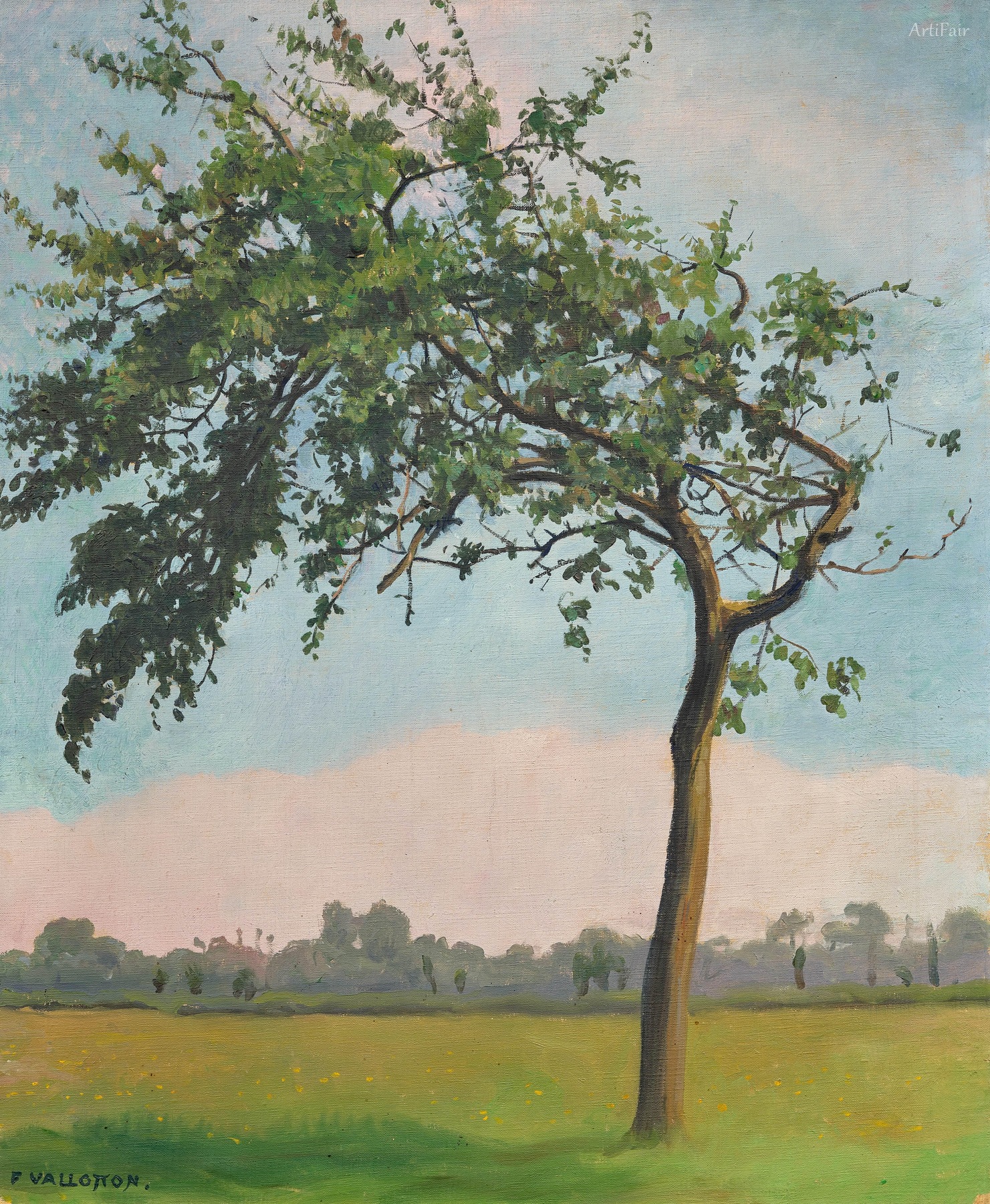 The Apple Tree, Varengeville
