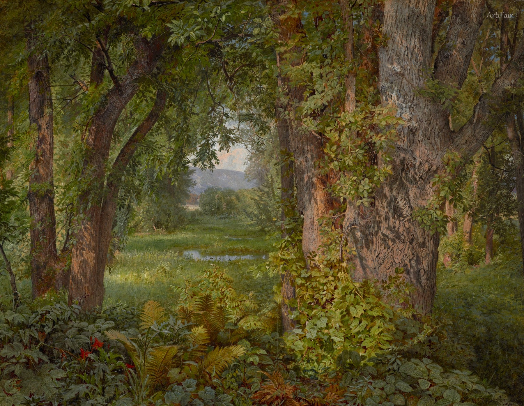 In the Woods