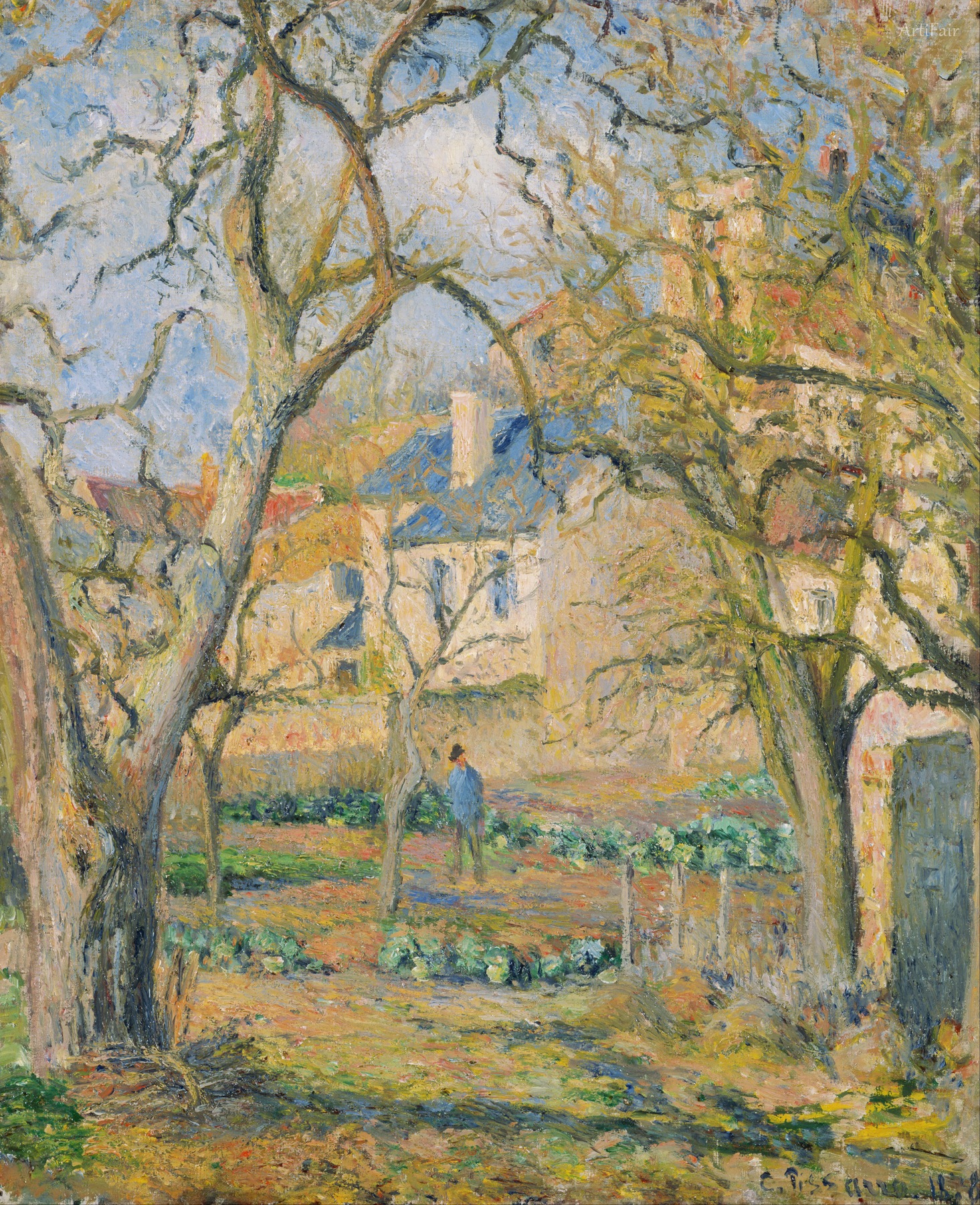 Vegetable Garden