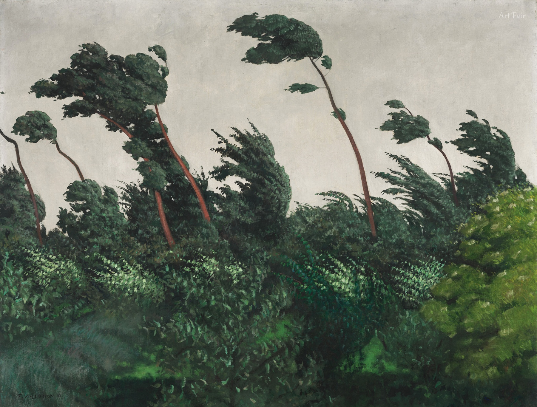 The Wind