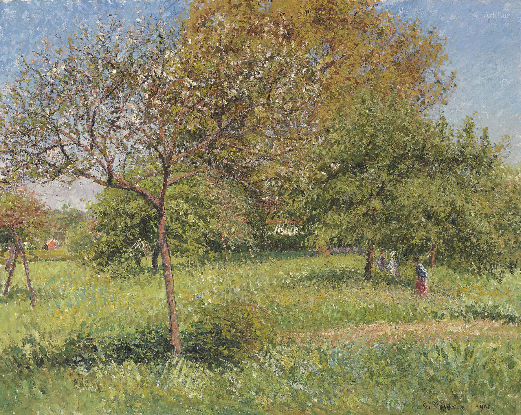 Le Grand Noyer, matin, Eragny