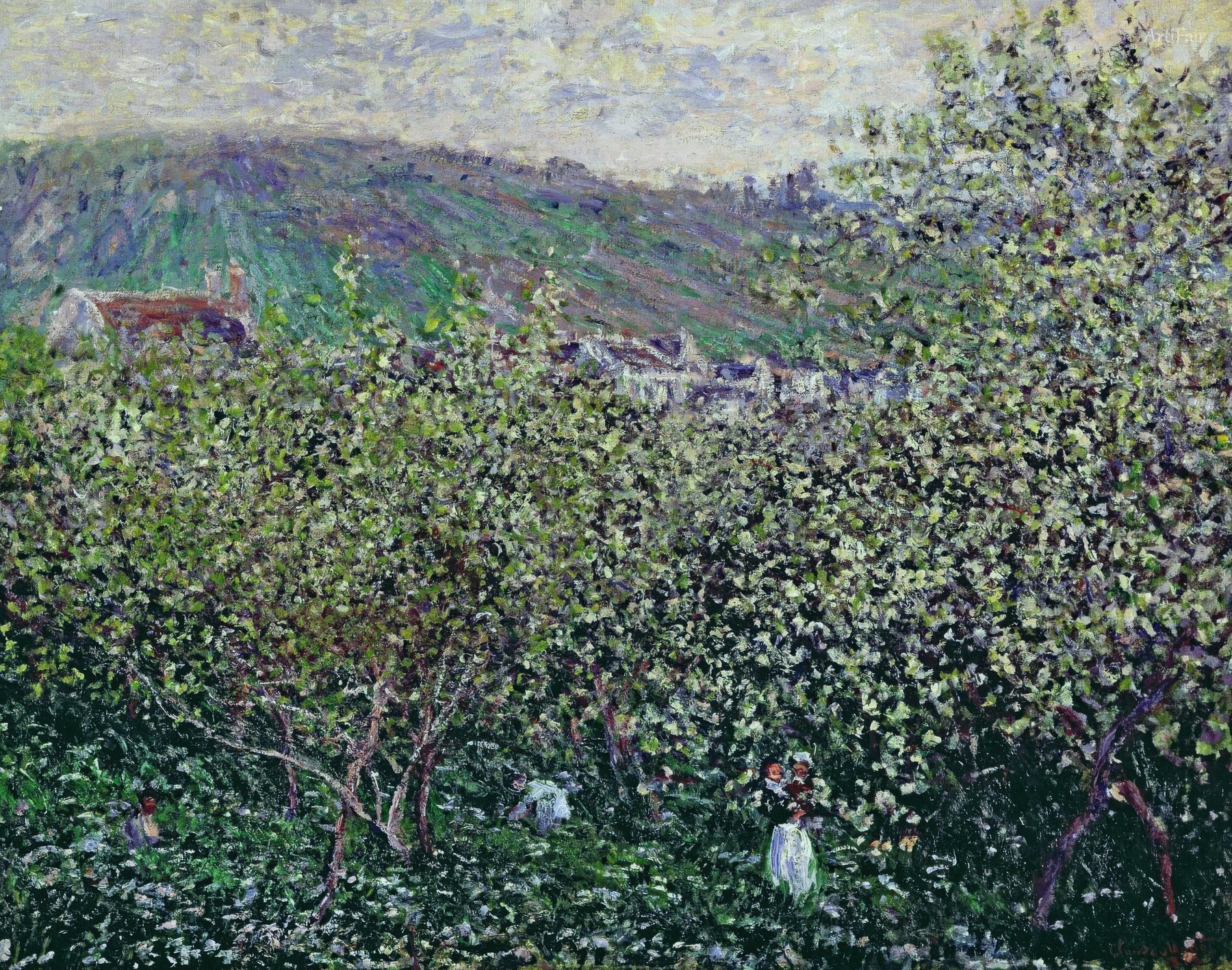 Flowering Plum Trees