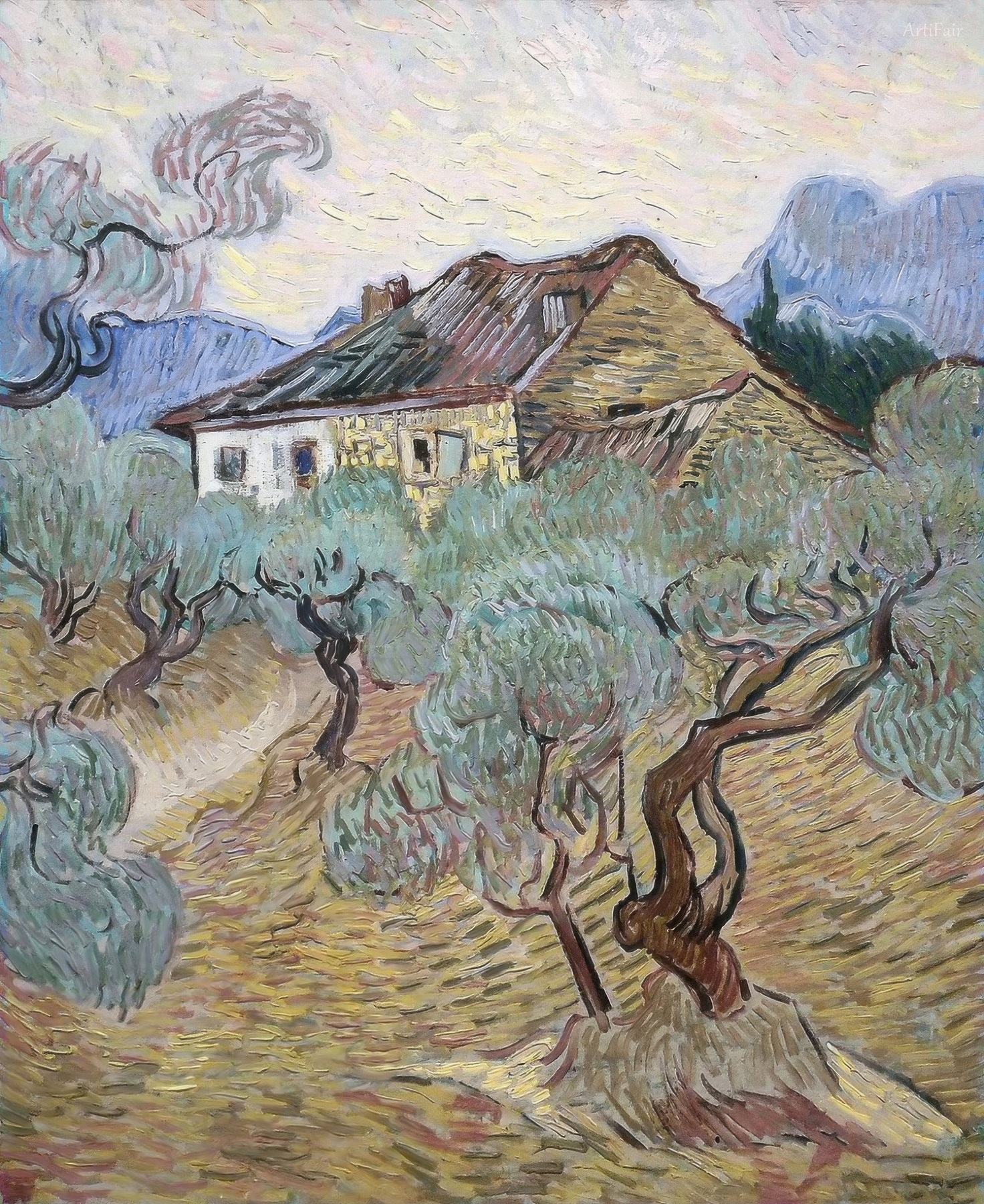 La casa bianca tra gli ulivi