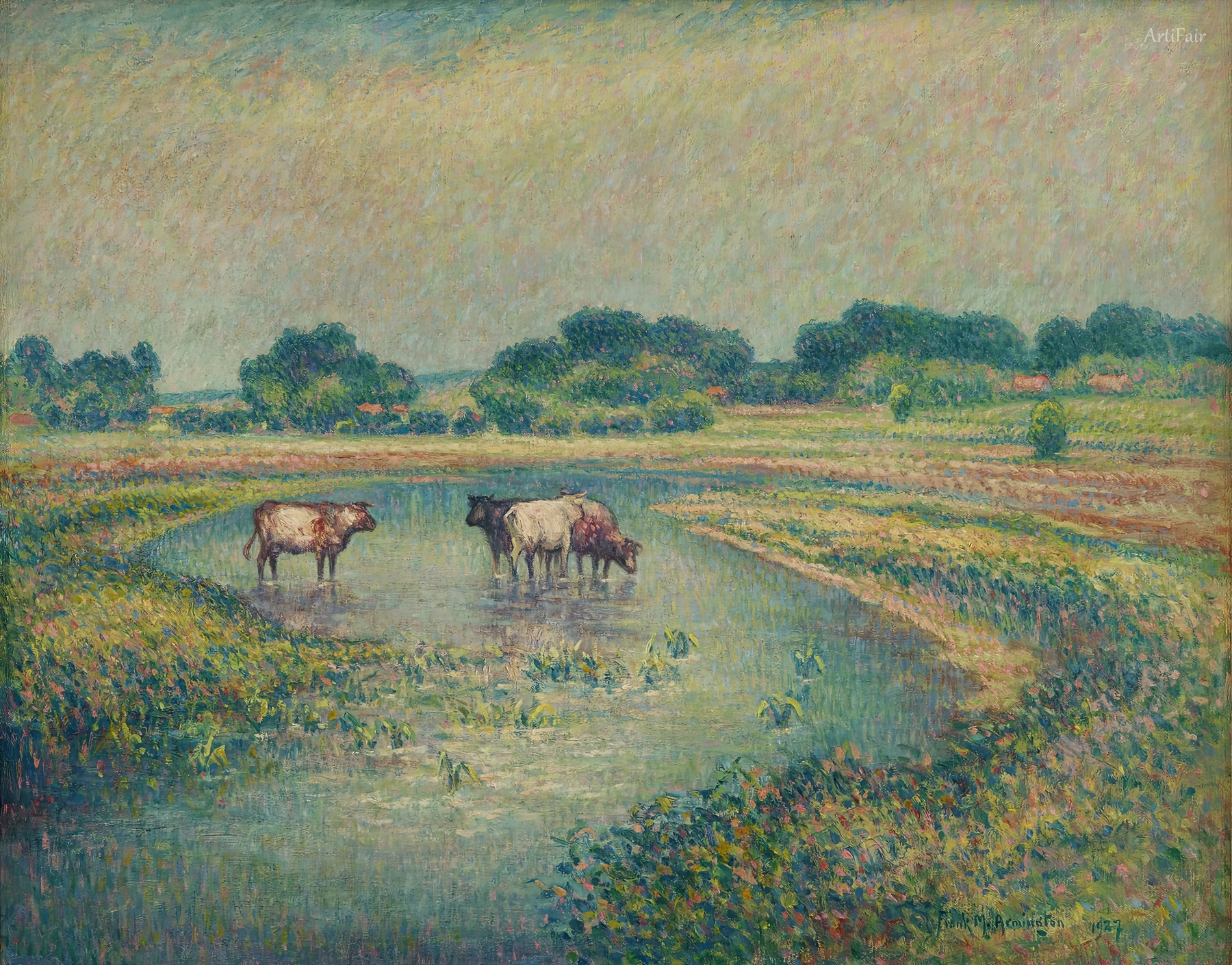 Cows Watering