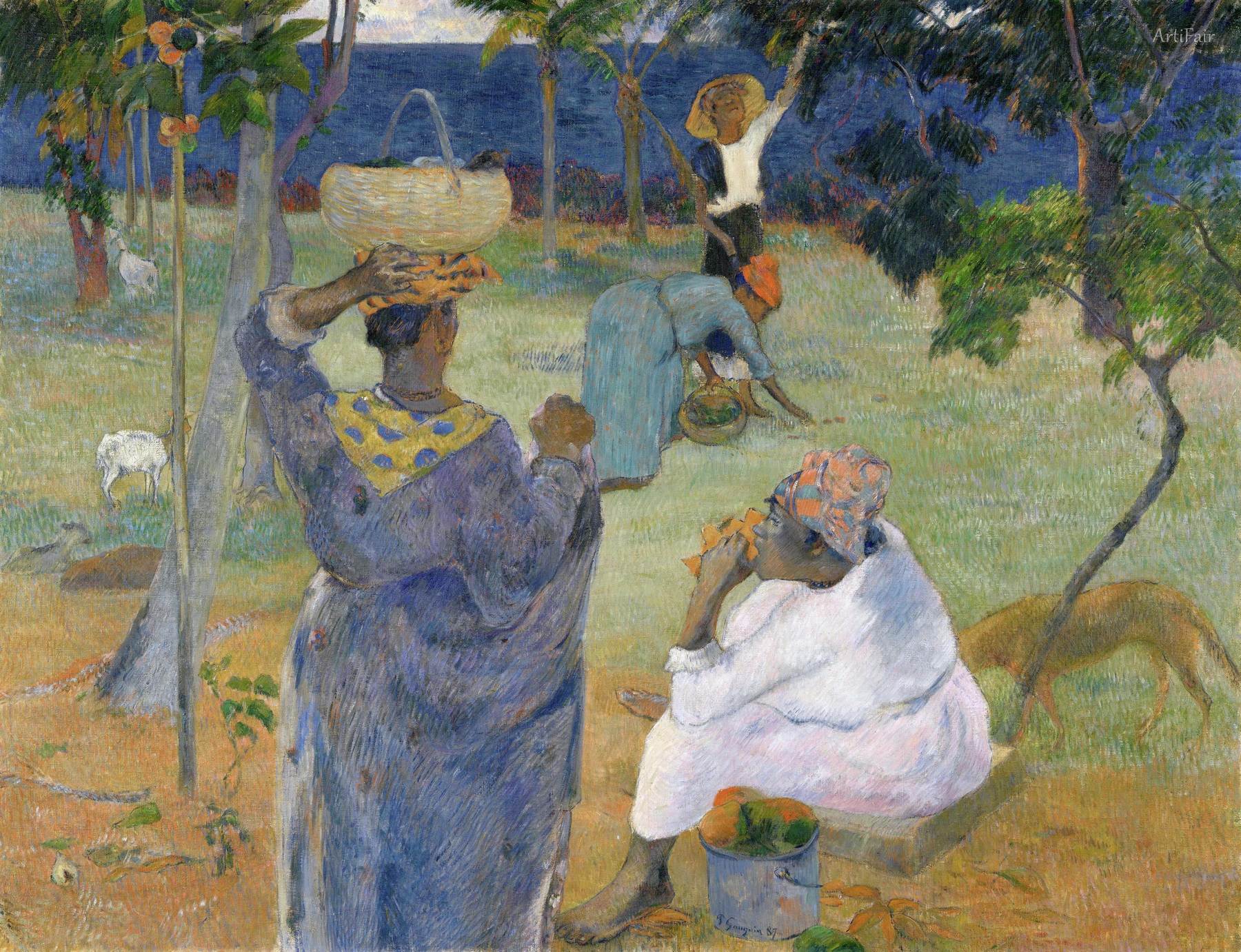 The Mango Trees, Martinique