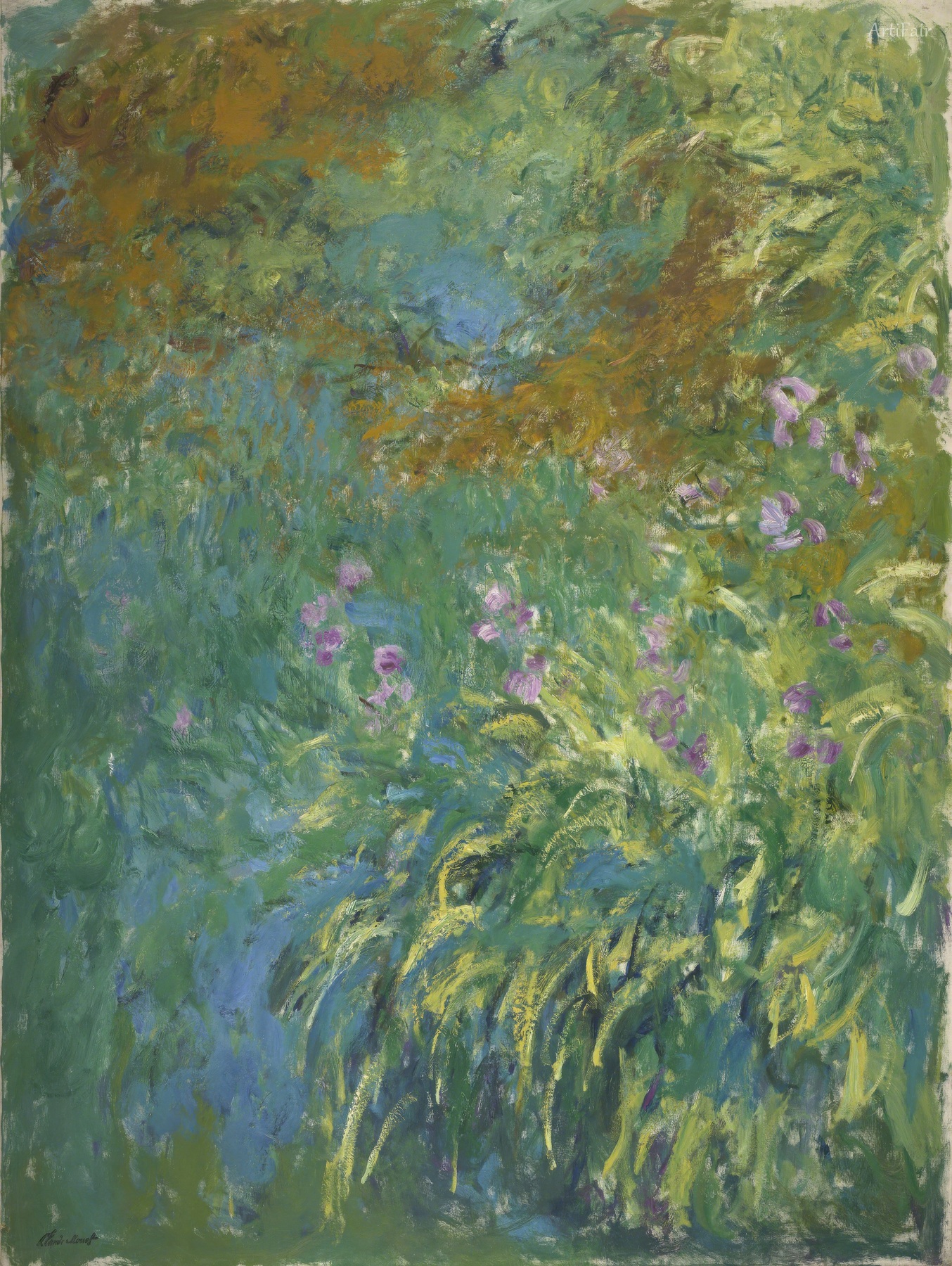 Iris flowers by the pond
