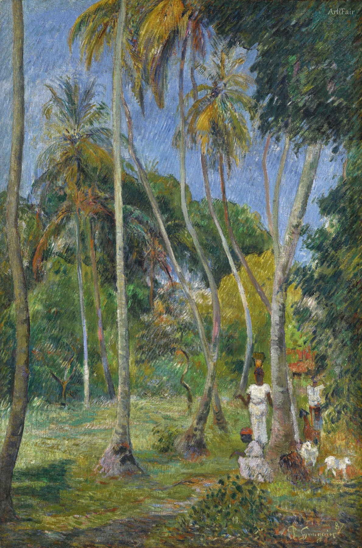 Path Under the Palm Trees
