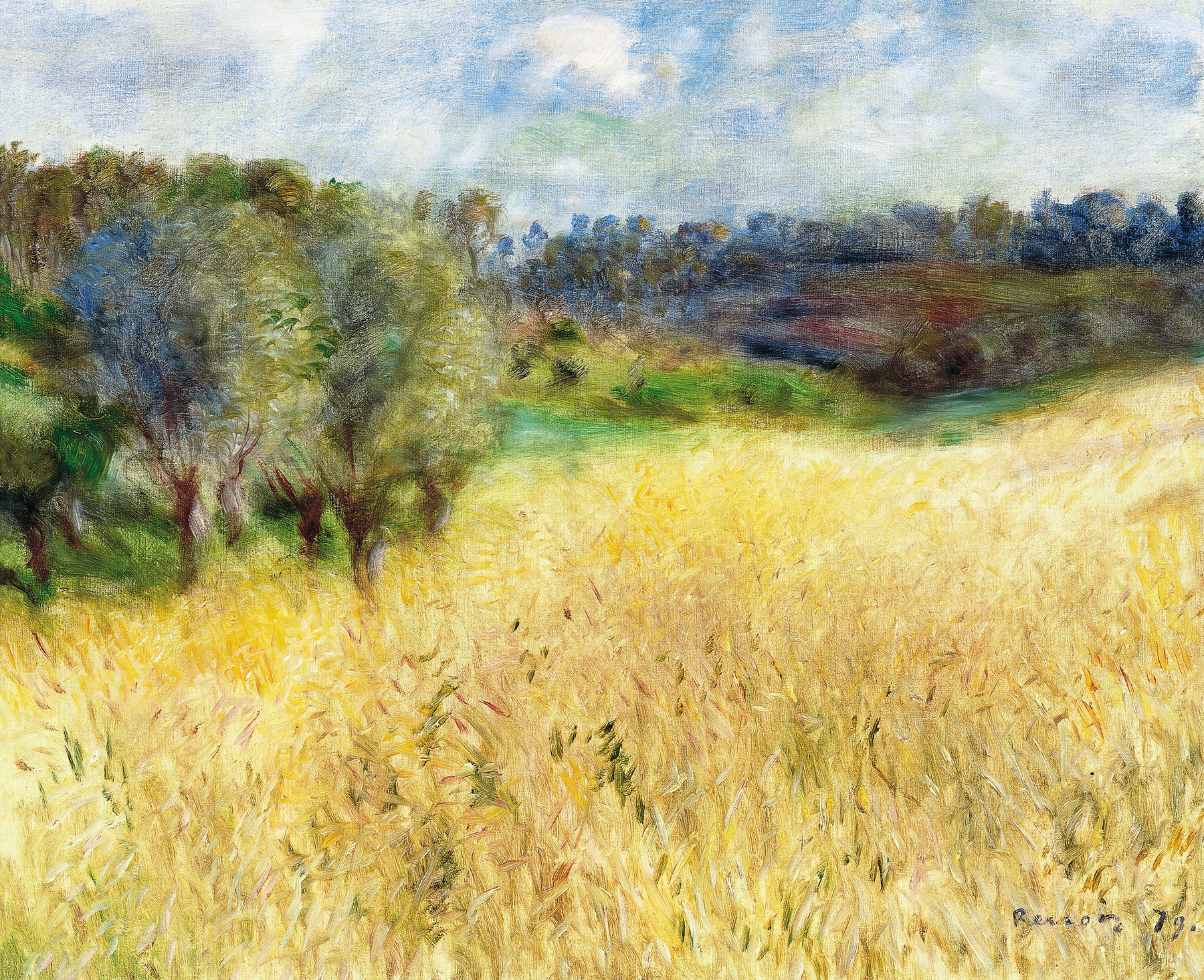 Field of Wheat