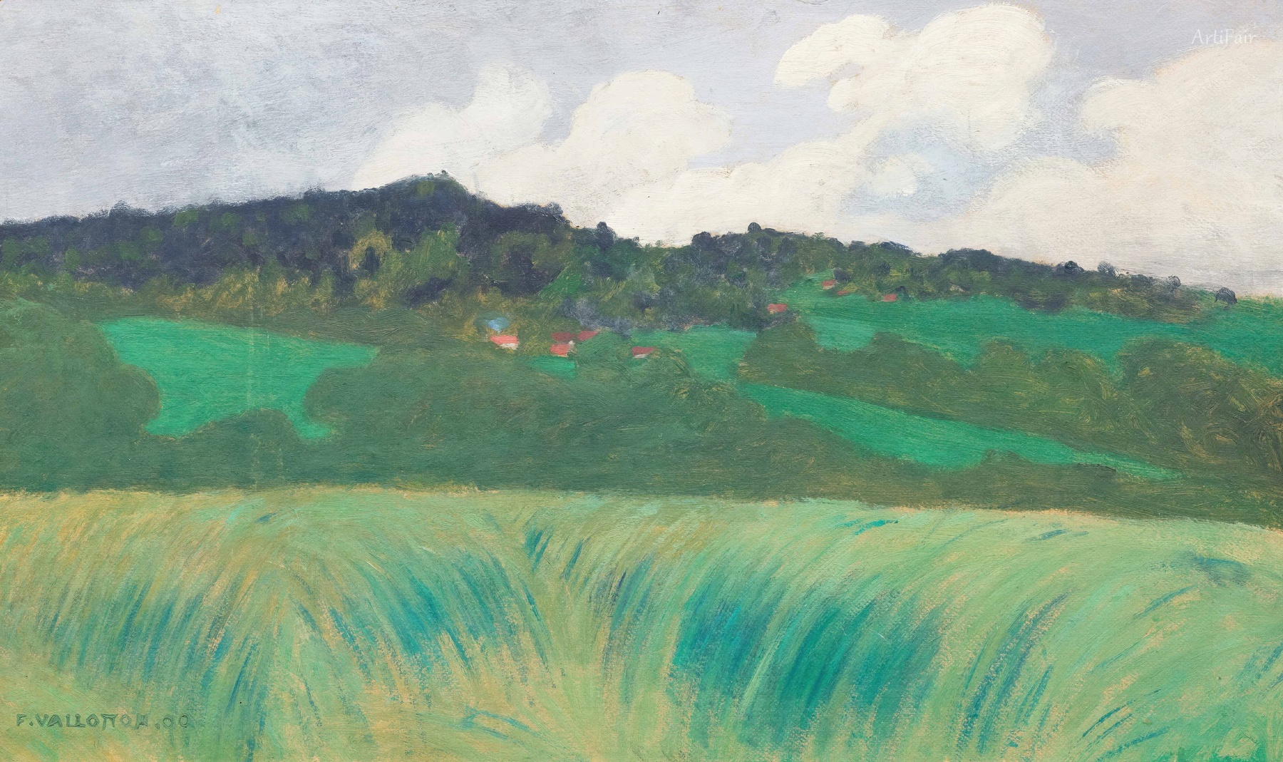 Landscape at Naz