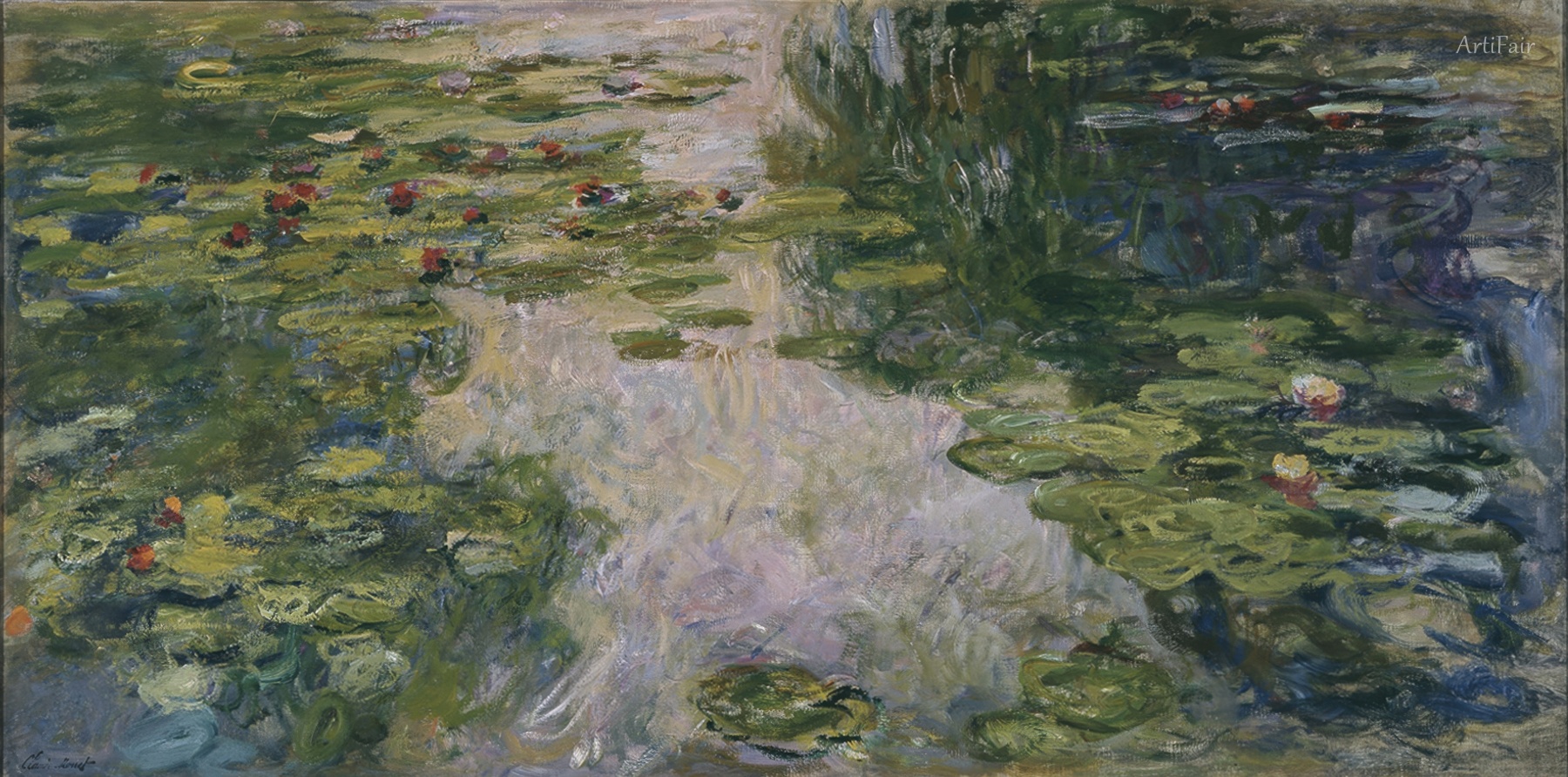 Water Lilies