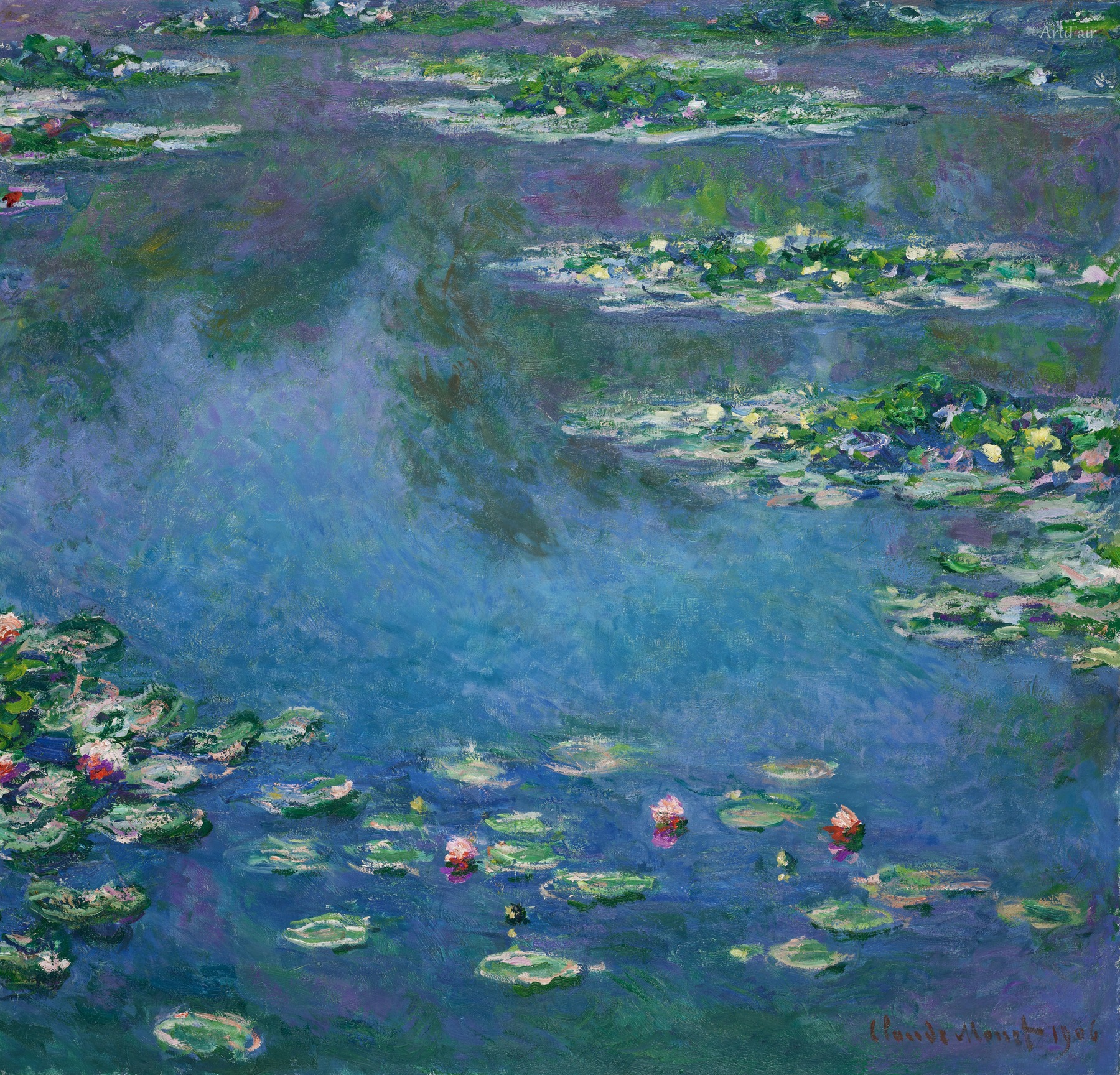 Nøkkelblomster