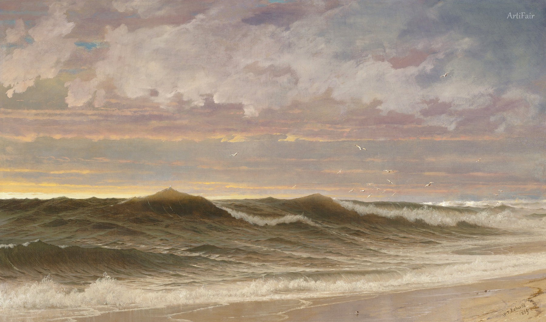 Sunlit Coast